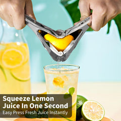 Citrus Squeezer | Stainless Steel