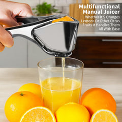 Citrus Squeezer | Stainless Steel