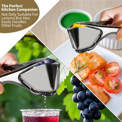 Citrus Squeezer | Stainless Steel